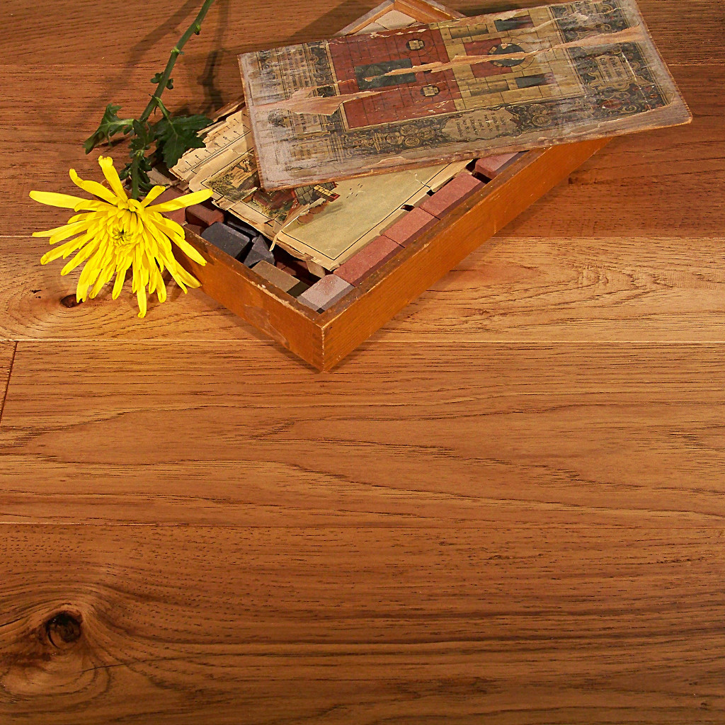 Woodhouse, Parkland, Highland wood floor with old building blocks and yellow flower.