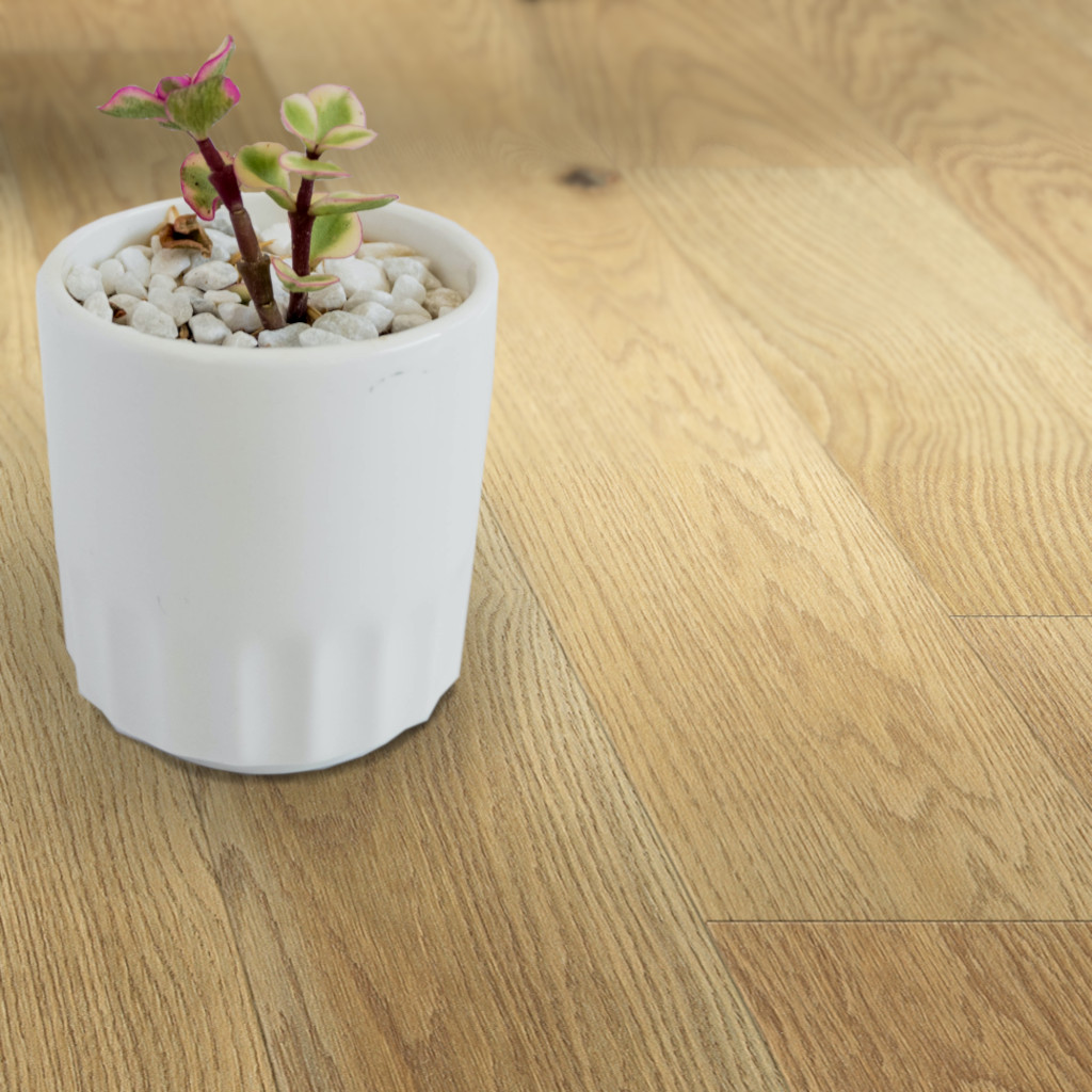 Woodhouse, Patriot Collection, Golden Gate white oak engineered wood floor shown with a succulent plant